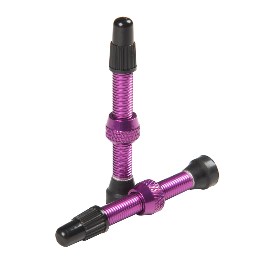Stan's Tubeless Valves (Pair) Colored
