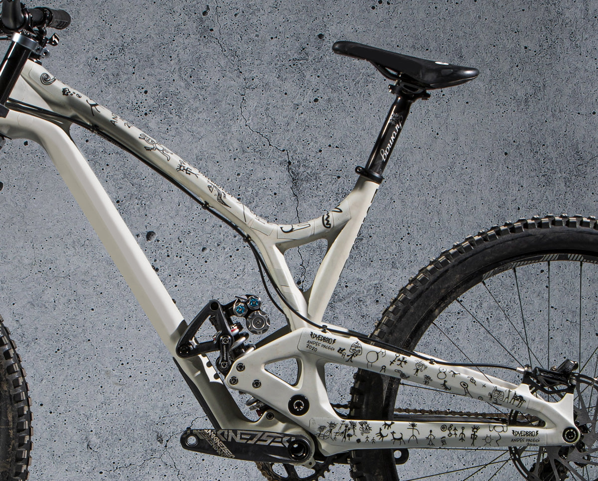 DyedBro Frame Protection Andes Pacifico