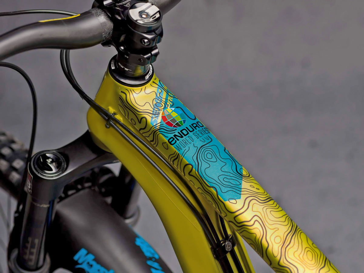 DyedBro Frame Protection EWS