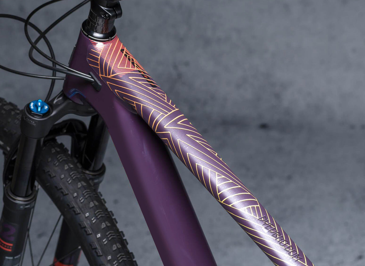 DyedBro Frame Protection Stay Free