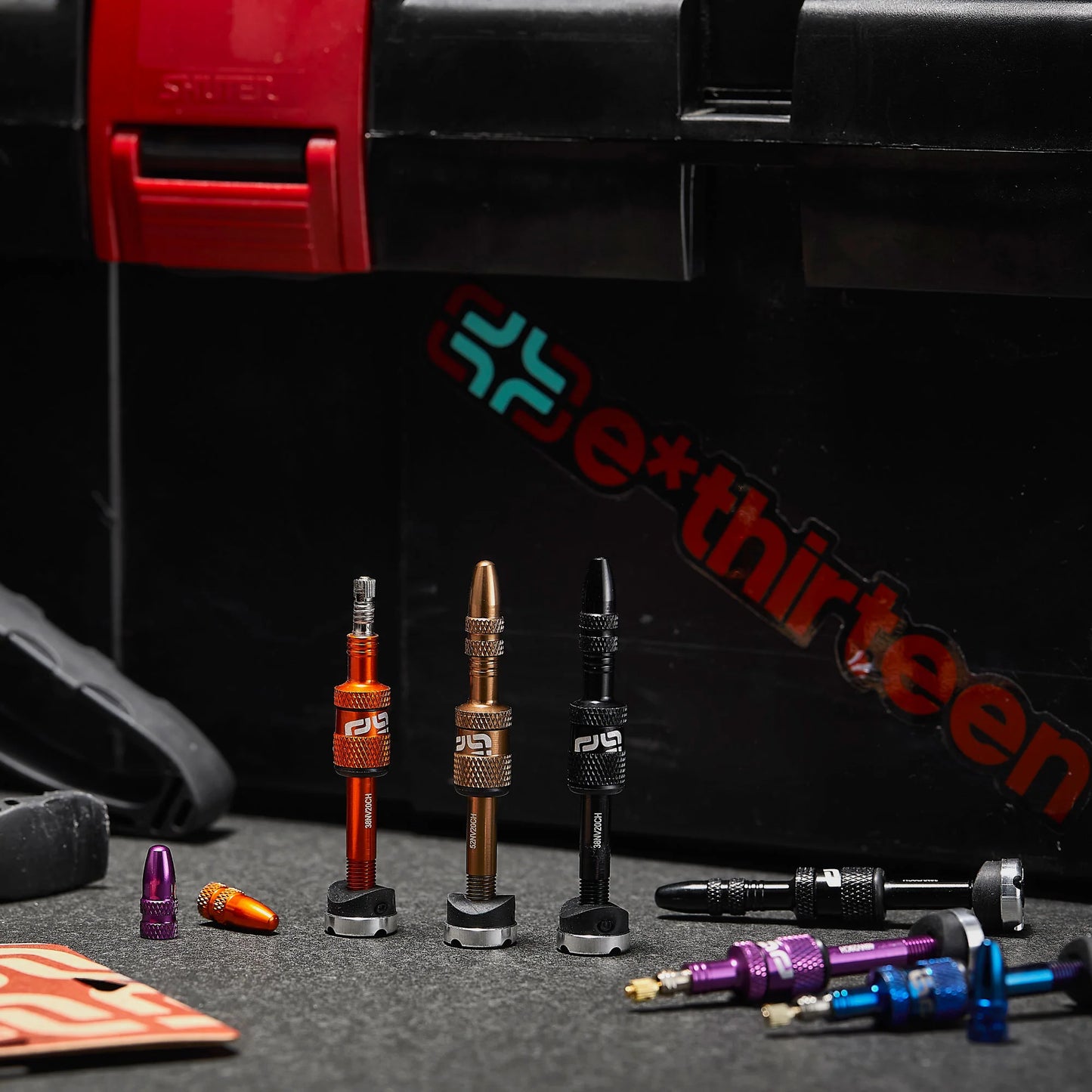 e*Thirteen Quick Fill Tubeless Valves