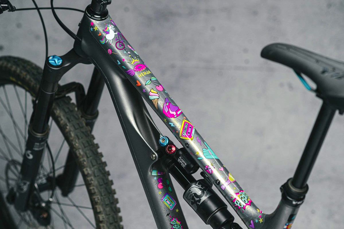 DyedBro Frame Protection Unicorn.