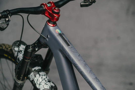 DyedBro Frame Protection EWS Mountains