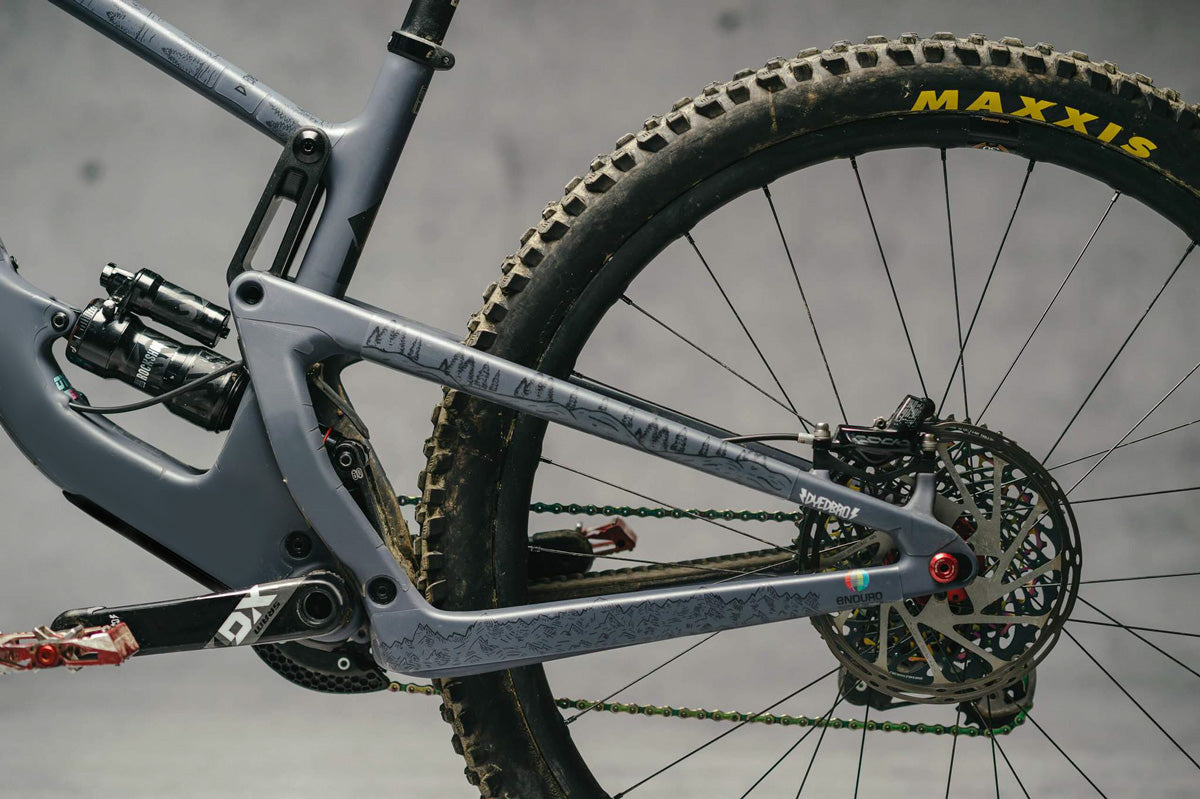 DyedBro Frame Protection EWS Mountains