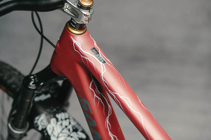 DyedBro Frame Protection Lightning