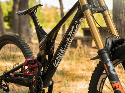AMS Frame Protection - Extra