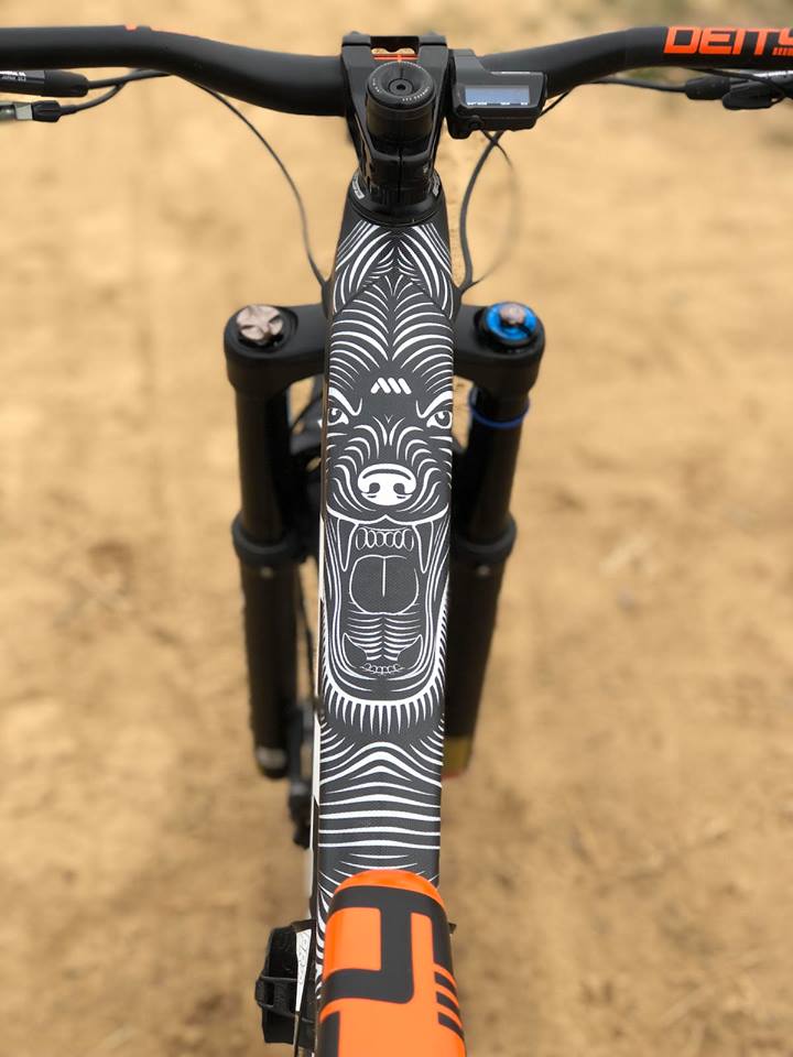 AMS Frame Protection - Extra