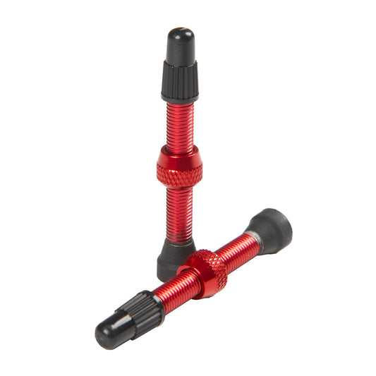 Stan's Tubeless Valves (Pair) Colored