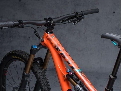 DyedBro Frame Protection Camo