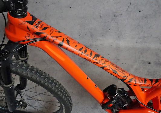 DyedBro Frame Protection Sergio Layos