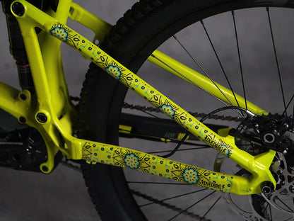 DyedBro Frame Protection Guadalupe