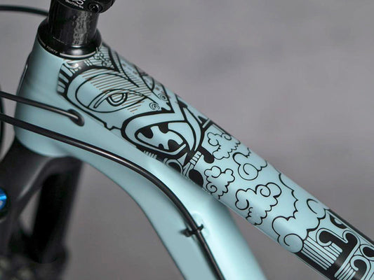 DyedBro Frame Protection Aotearoa