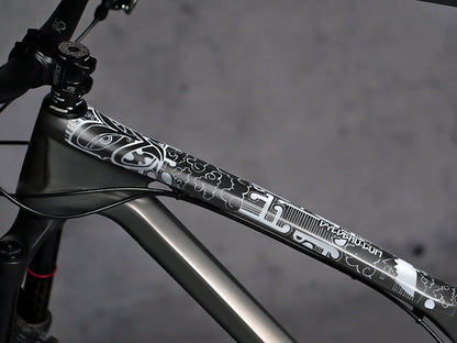 DyedBro Frame Protection Aotearoa