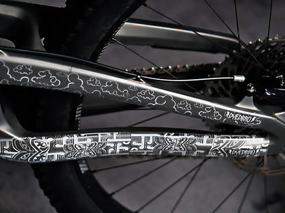 DyedBro Frame Protection Aotearoa