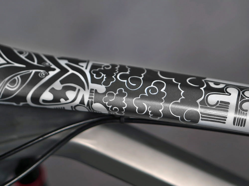 DyedBro Frame Protection Aotearoa