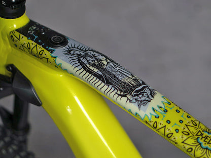 DyedBro Frame Protection Guadalupe