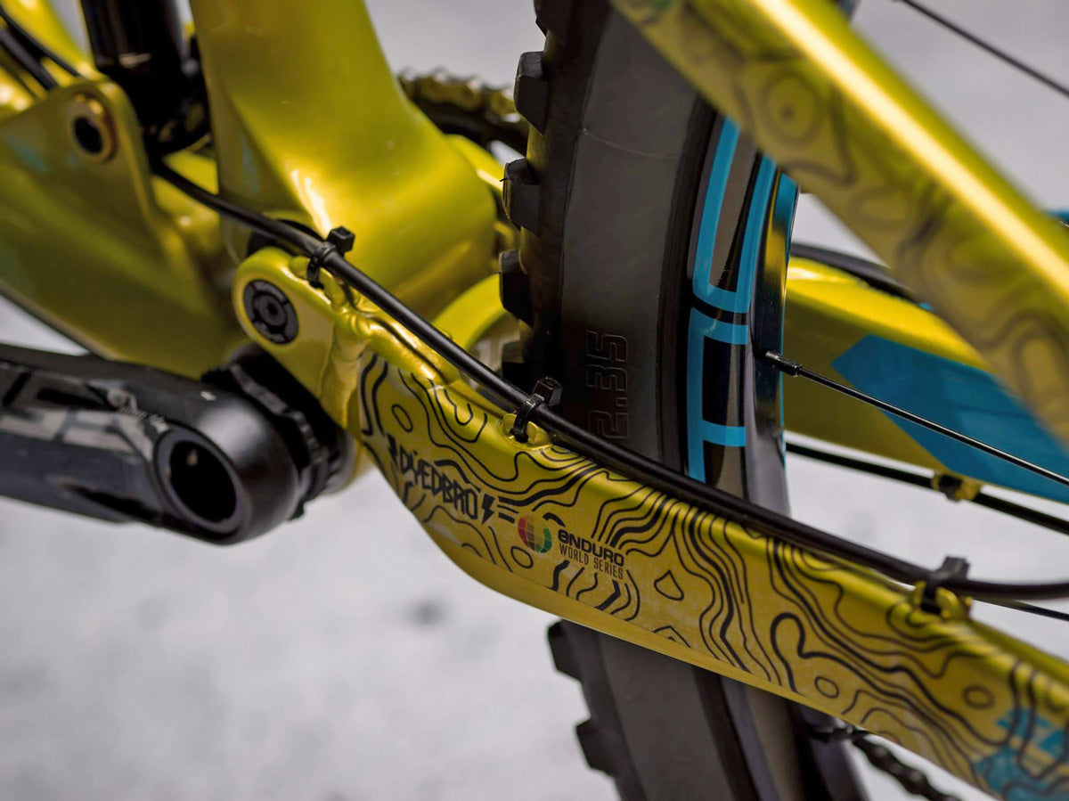 DyedBro Frame Protection EWS