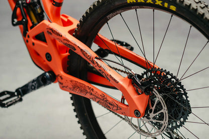 DyedBro Frame Protection Dream Catcher
