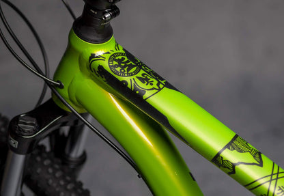 DyedBro Frame Protection Mandala