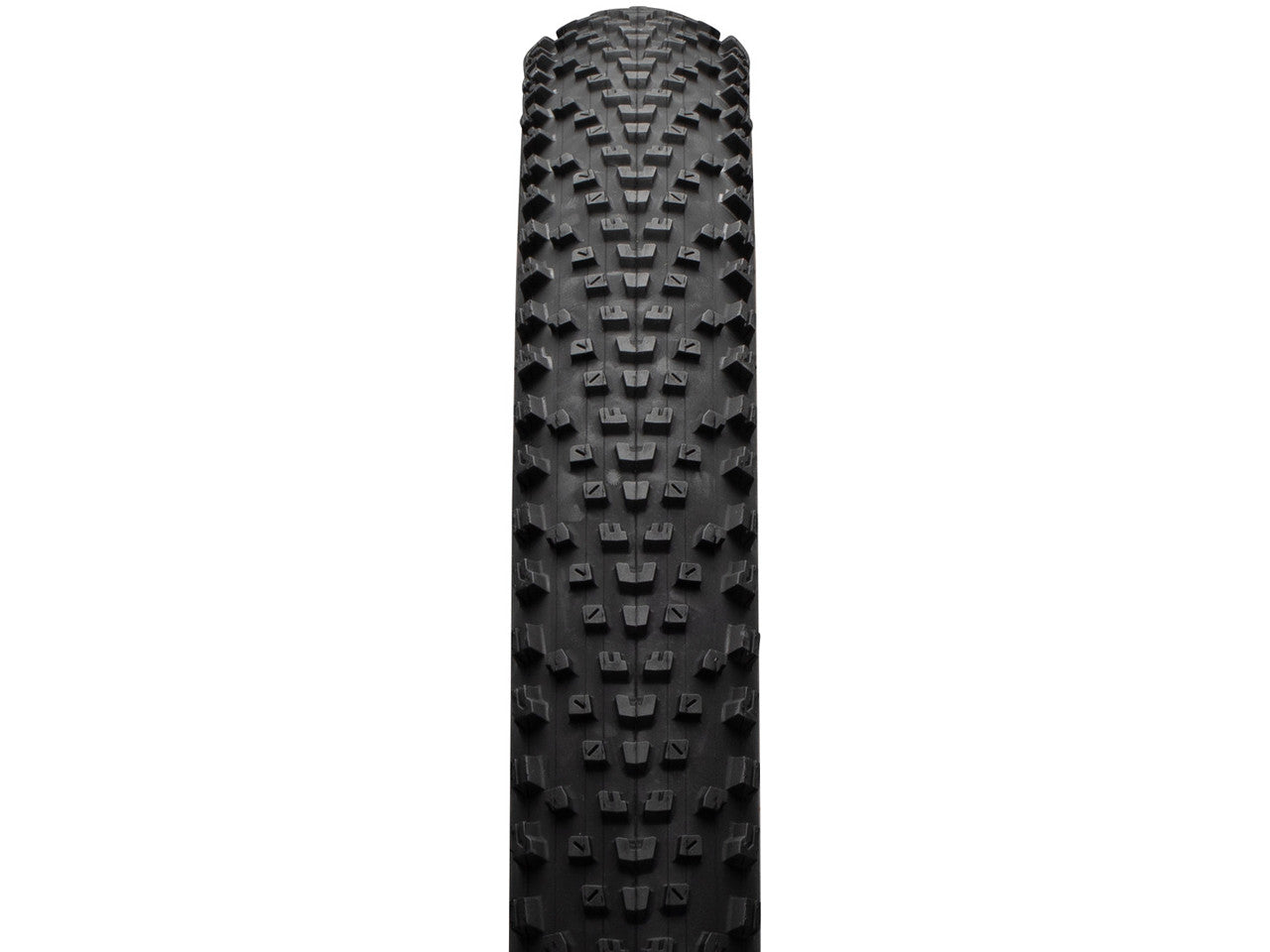 Maxxis Rekon Race 29" Dual EXO TR