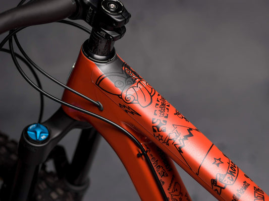 DyedBro Frame Protection NZ Enduro
