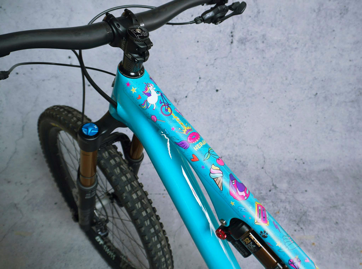 DyedBro Frame Protection Unicorn.