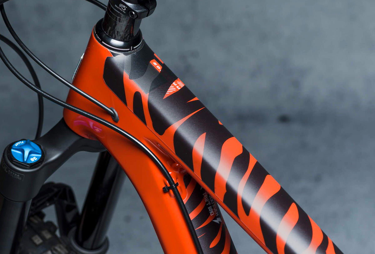 DyedBro Frame Protection Zebra.