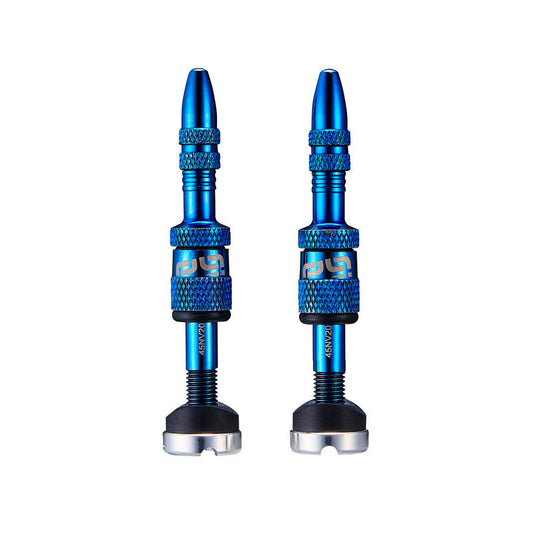 e*Thirteen Quick Fill Tubeless Valves