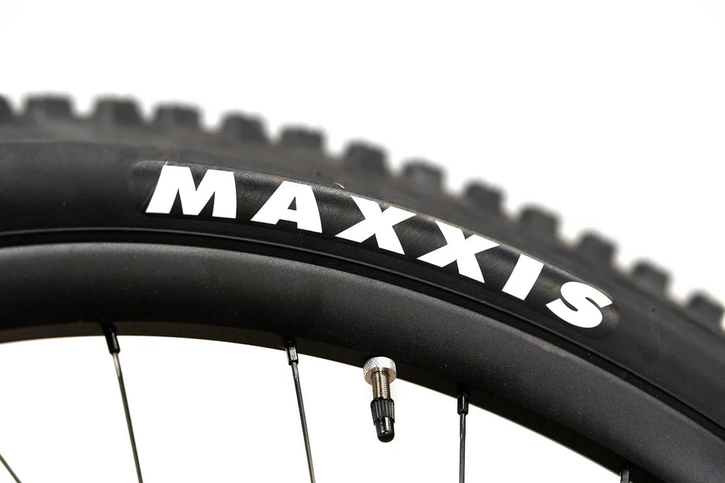 Maxxis Dissector 29x2.4WT